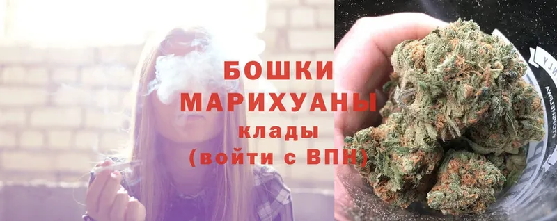 Бошки марихуана Bruce Banner  Ставрополь 